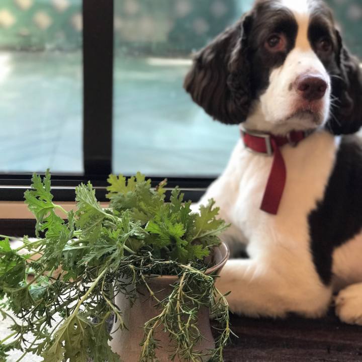 Bb99c302 f6a9 4229 81e1 8125393327cd