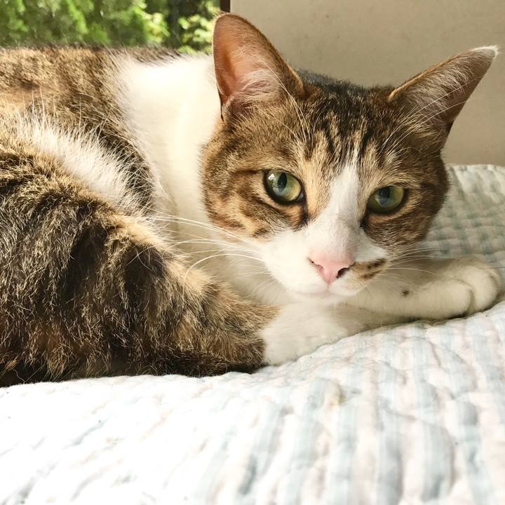 Bb99f780 8ed4 44c7 86b4 24b62e427a42