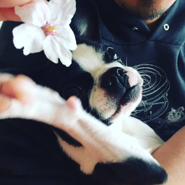 Bb9a4059 1f15 476f 804e c0a8538b98fc