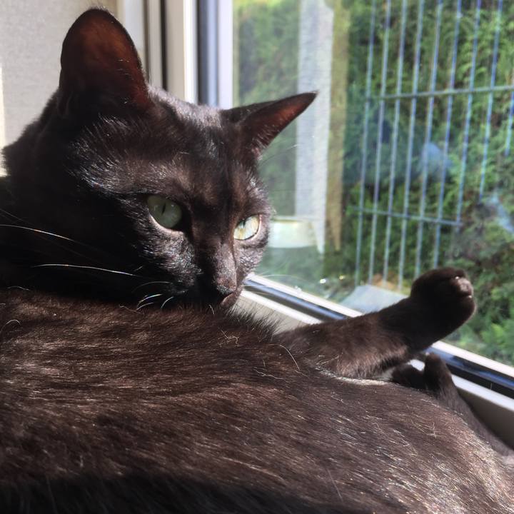 Bb9a8177 de9c 4038 8d35 48b277d58e3f