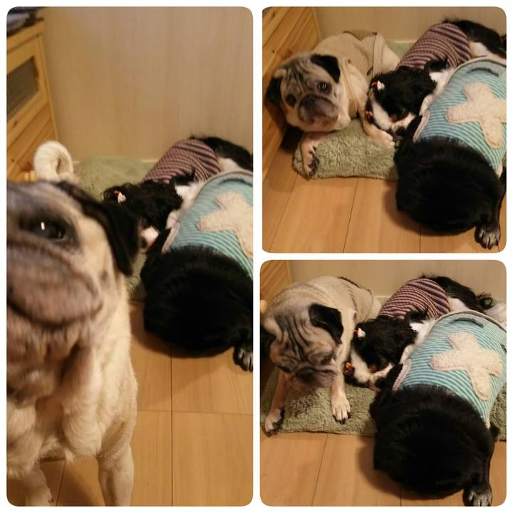 Bb9adead a6db 4326 b322 22e6b132ac71