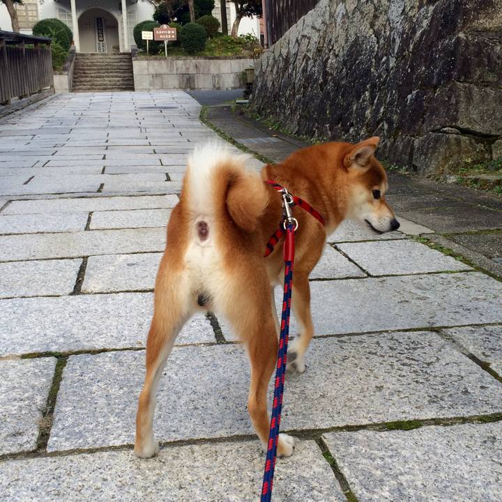 Bb9b2fb5 a6e0 41a7 ab26 f9b80f309325