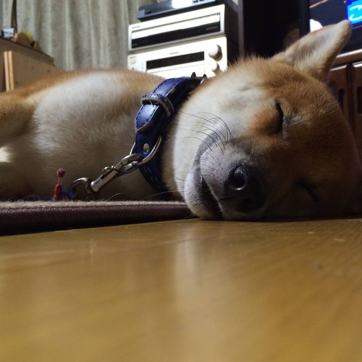 Bb9b7771 2750 460d 821a 6ac3d914e579