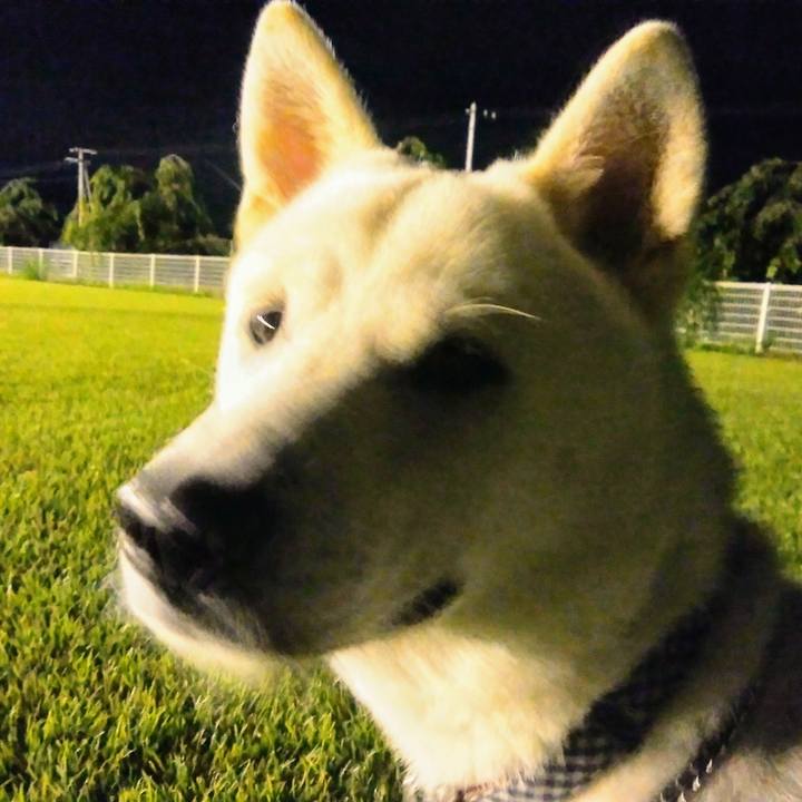 Bb9c6045 6849 4a88 8e41 2fe281946790