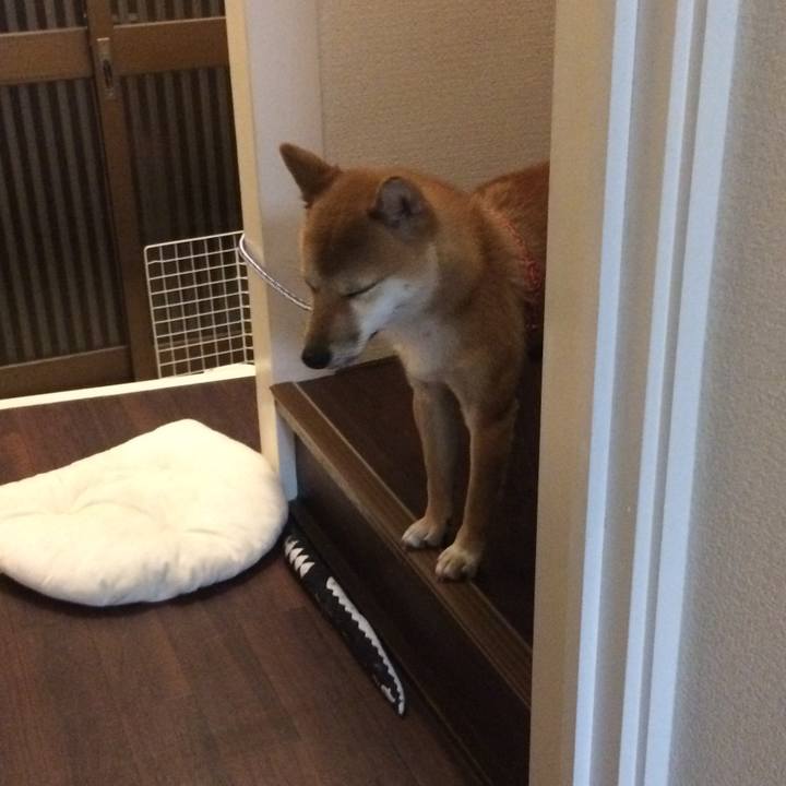 Bb9d93e0 f98c 45e5 8c9c 7d09d1f111b0