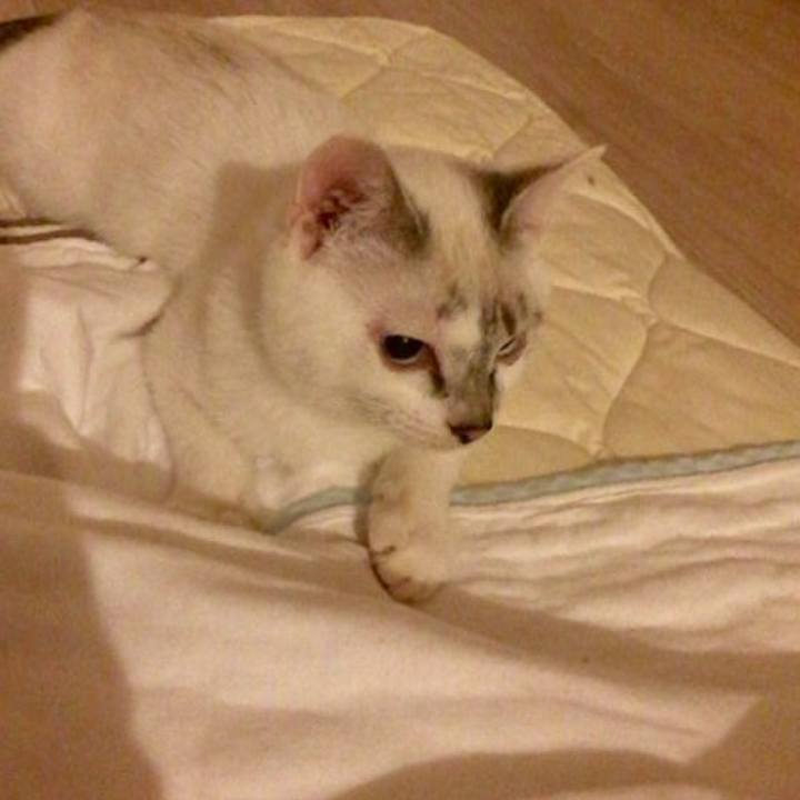 Bb9e341b 7cbe 4b4e a3f2 f086ec58be6d