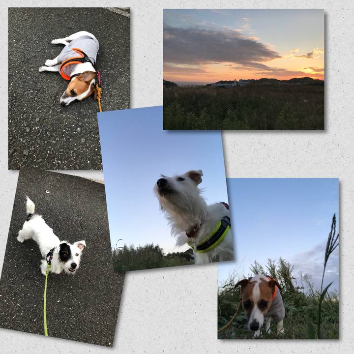 Bb9ec0db 7a55 4593 adf7 3dbc0ee69033