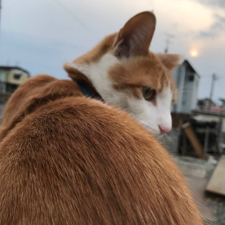 Bb9f9d7c fc75 40f2 b305 1a7351766fef