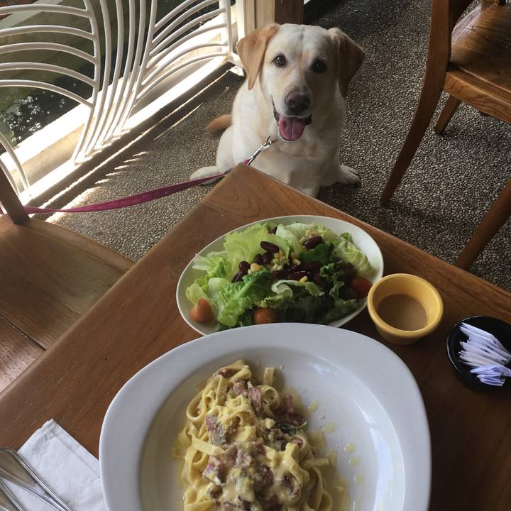 Bb9fc565 6936 453d b8dd f88d78f1f9fc