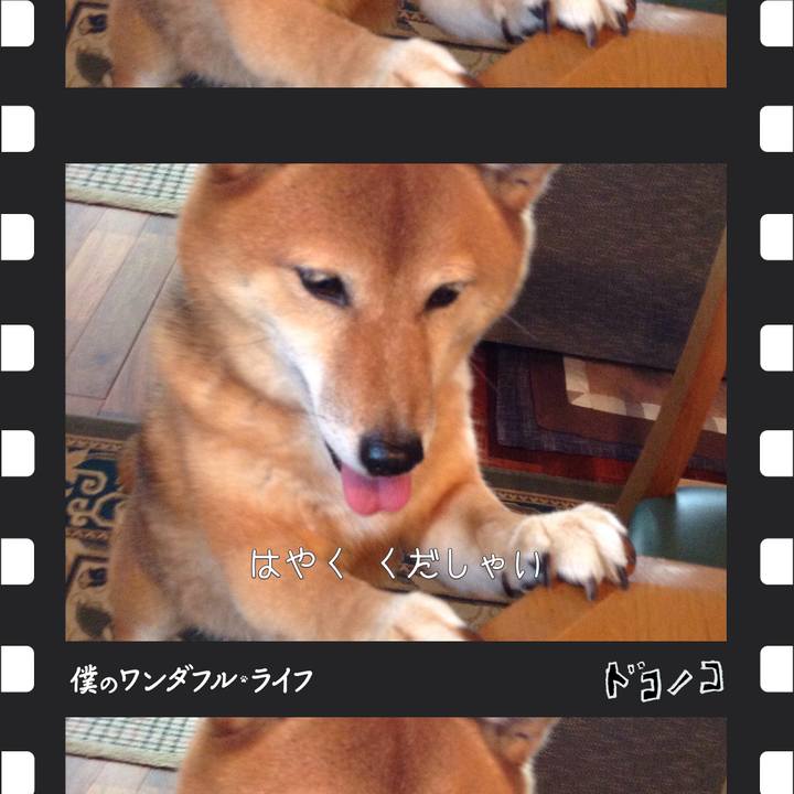 Bba05590 90cd 492b 9141 378324f09873