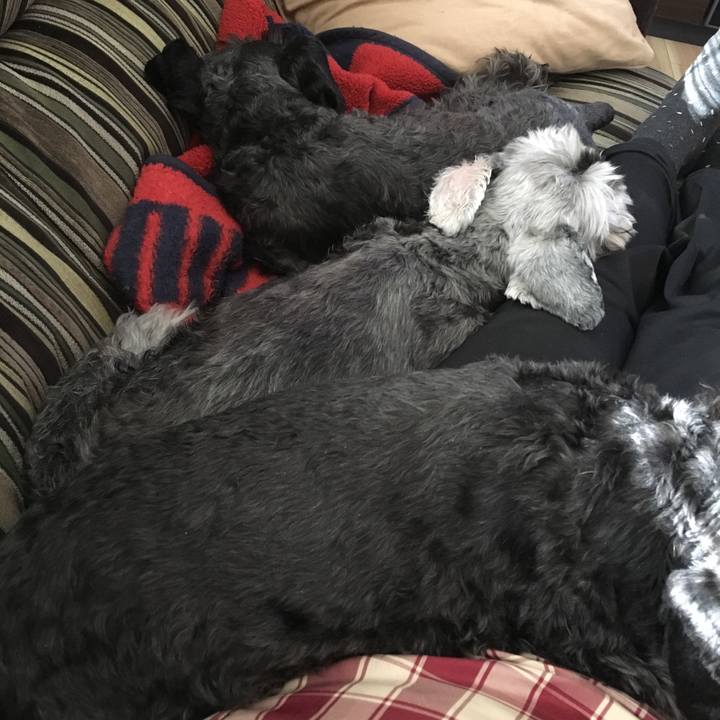 Bba0b96a f905 45f9 9050 43c422cdef5f