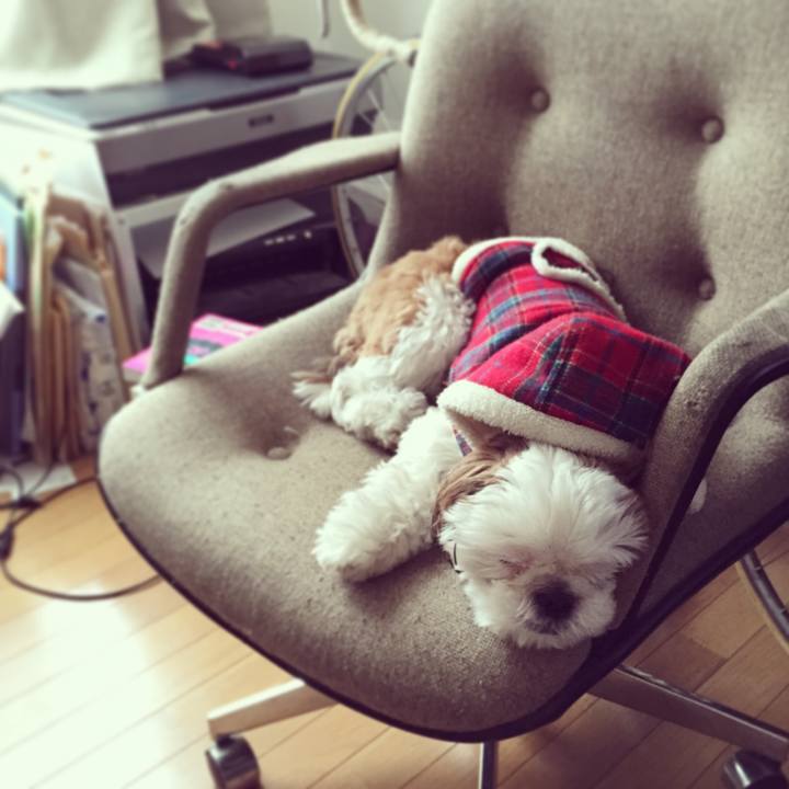 Bba0e67d 188b 4626 bf3a 1216652b282a