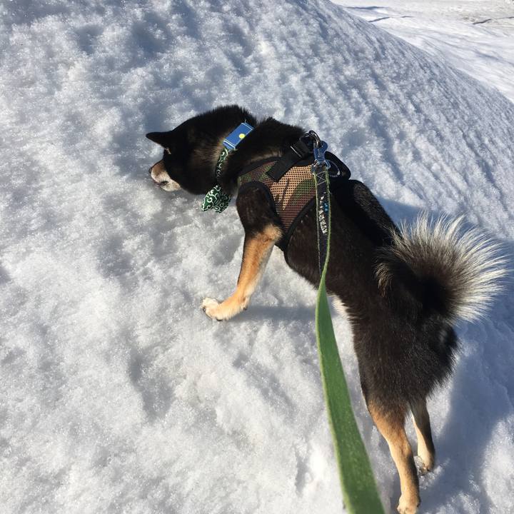 Bba11733 4eb9 4b4e ae57 c751b90fc987