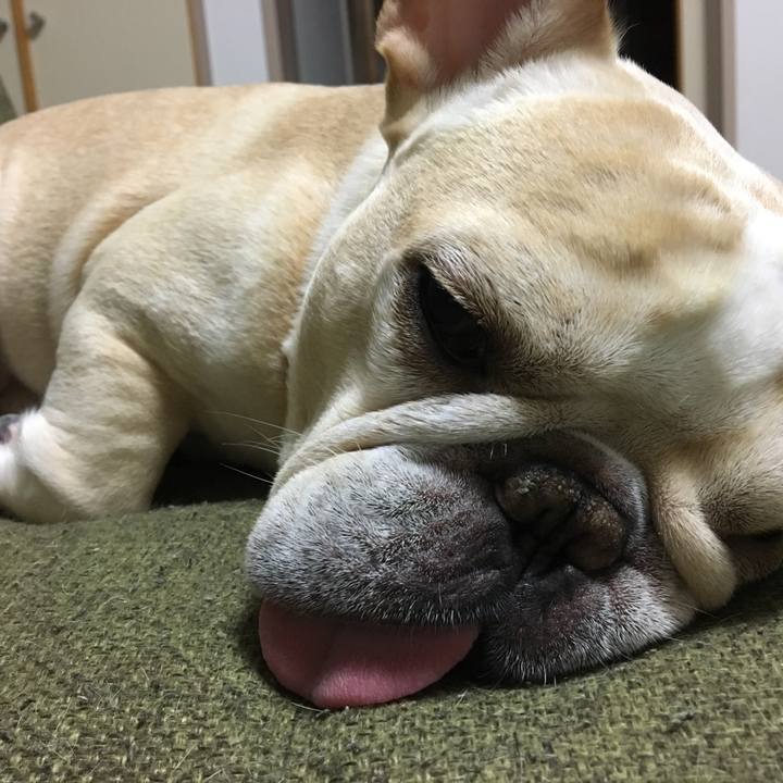 Bba155f2 1f21 4174 9f4a 632c95d848dc