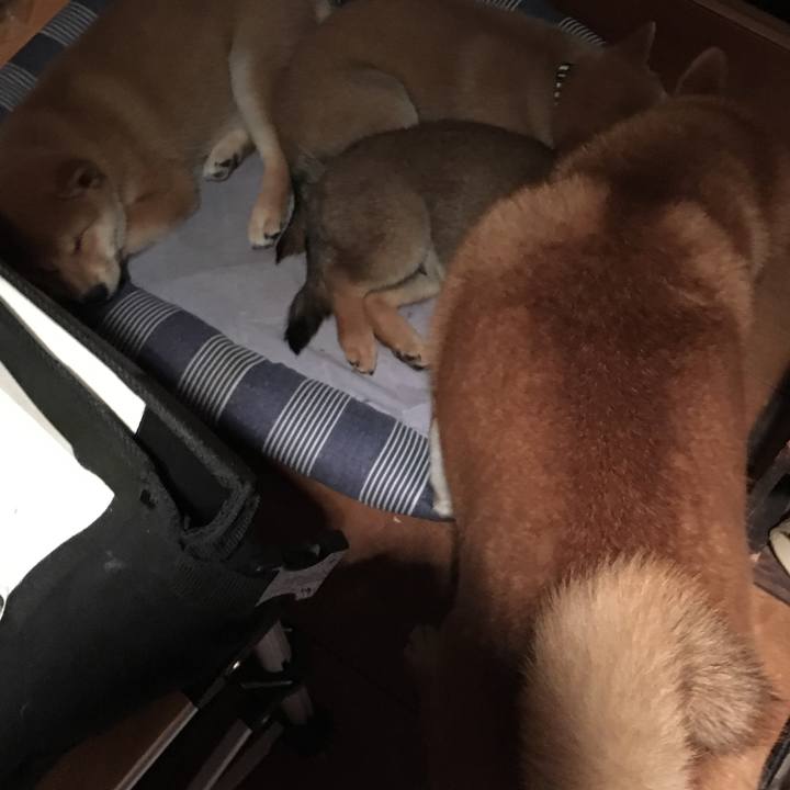 Bba18a8d 510f 49b3 b314 b62448158b04