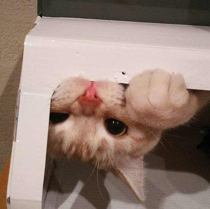 Bba18fba 5042 4ea0 9483 70dc6f3cf61a