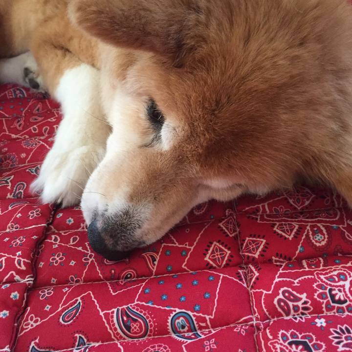 Bba1d08b b351 4aa8 860c 8b1247824a03