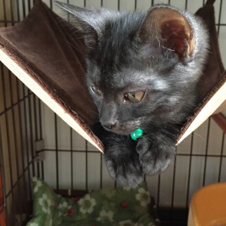 Bba1da23 d601 4d1d a883 cc5ada6fa6ca