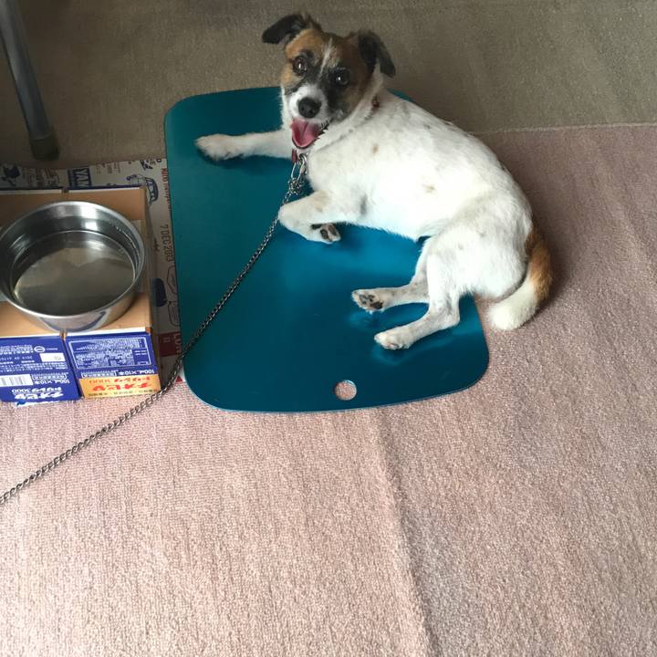 Bba1e3a5 3f5b 4c42 9ea4 8419ca6a0483