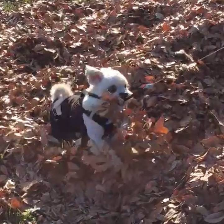 Bba1edad fdd0 4864 9170 77e3081e11ba