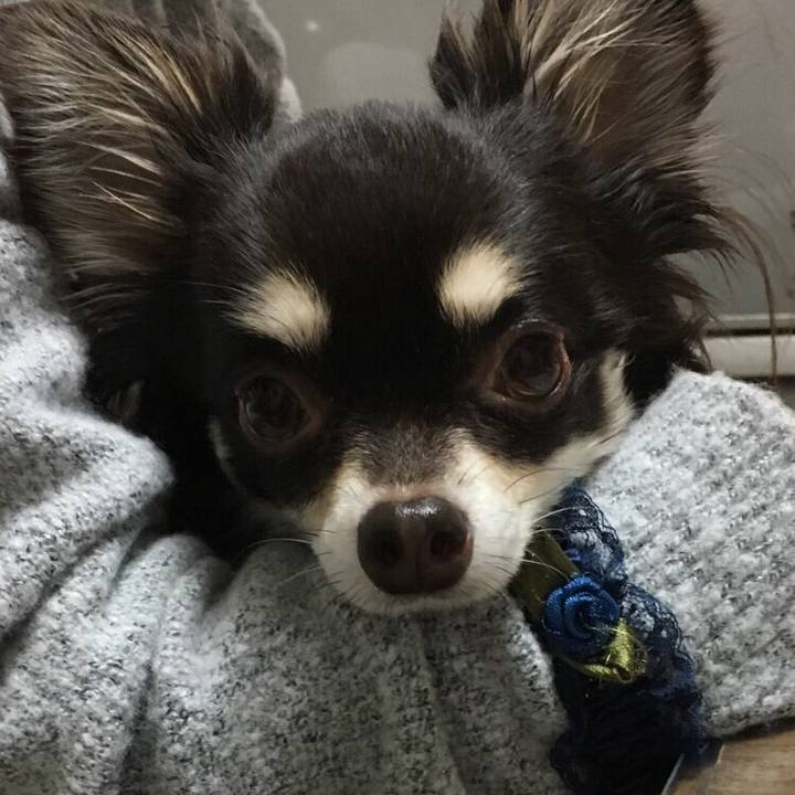 Bba210cd bfe4 4831 9e3c 1fec65779928