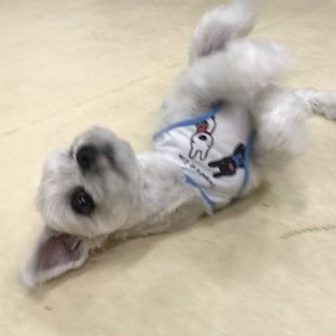 Bba26dee 6e1a 4174 83ca 904b72511145