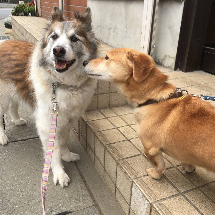 Bba3b2fd bf34 431e bbdf 6186ce5f0a9f