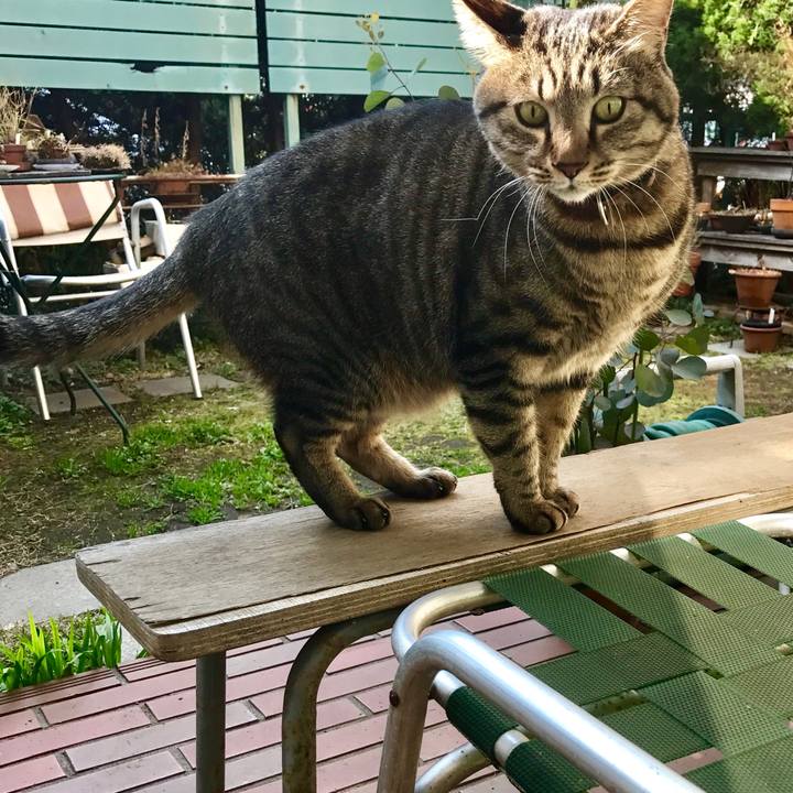 Bba3c08c 3a5b 4348 9fb2 46822dc782c5