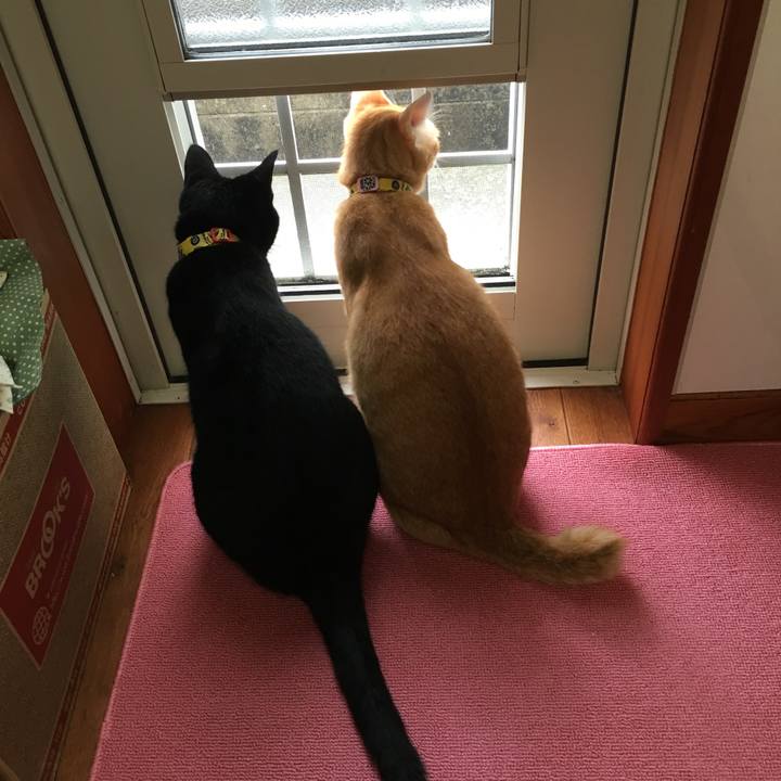 Bba3d2a2 b791 4ef3 aaa2 5e8d0e88e78f