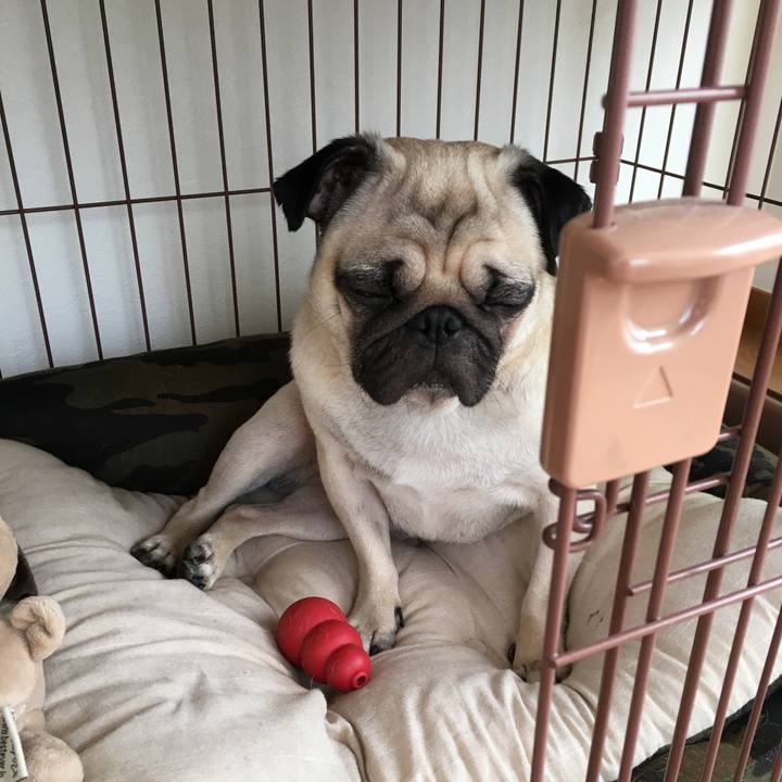 Bba3d968 eb3e 4578 a1cd 5a8d13d257f0