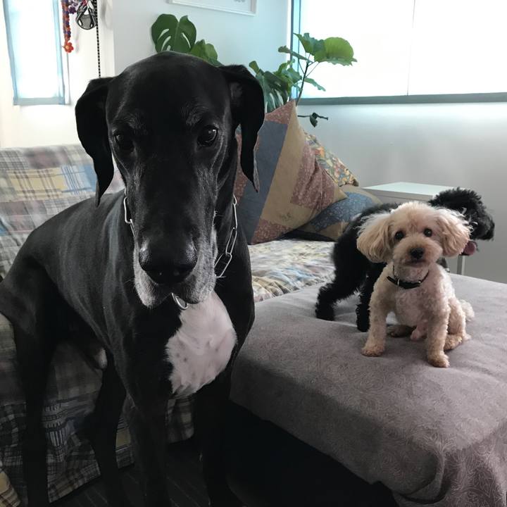 Bba3f3ee 573b 426c a2d9 e932b95dd32e