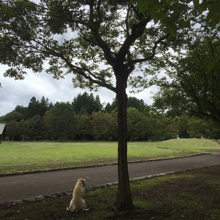 Bba42fcc e0ab 4640 9ab8 d973a772ab5b