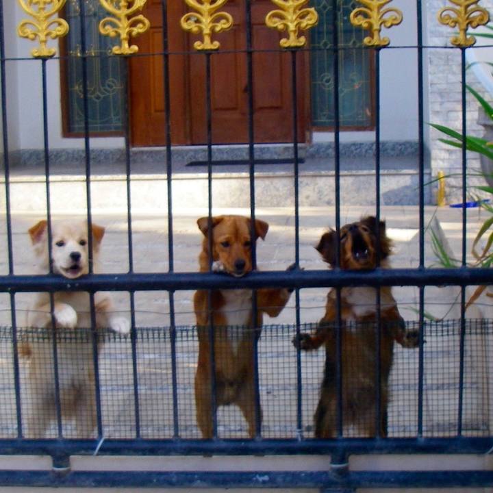 Bba48c87 a616 4218 887a 7cdf9cdf8041