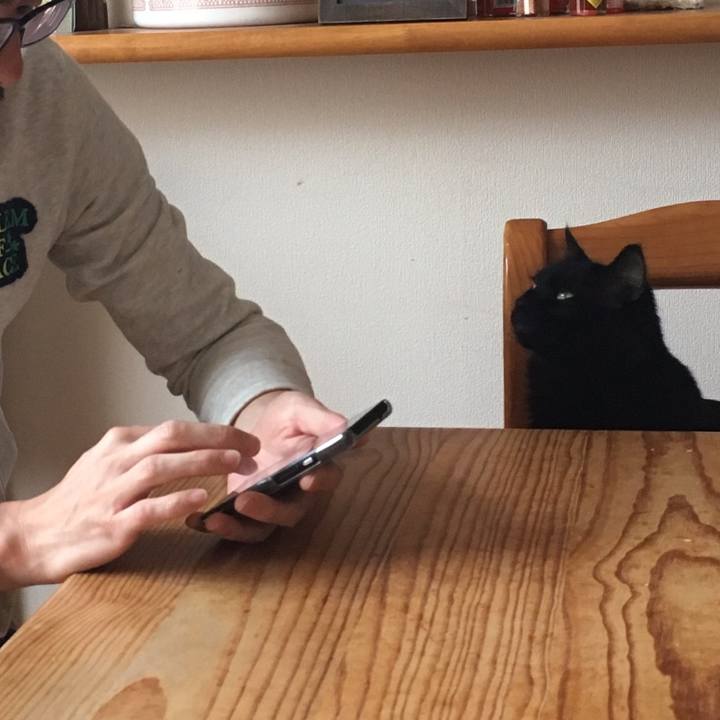 Bba57e5e 632a 46e8 a10f 0c3b029b512d