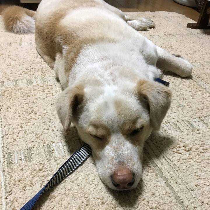 Bba58eb2 82eb 4ac3 a5f8 3b312772e2b7