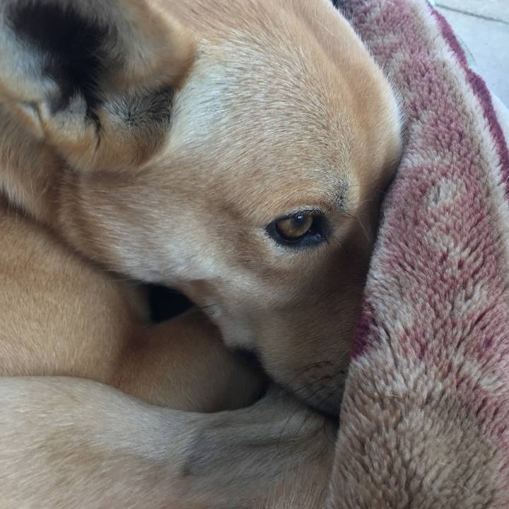 Bba76914 c0b4 49e1 9ea0 51d28df8076b