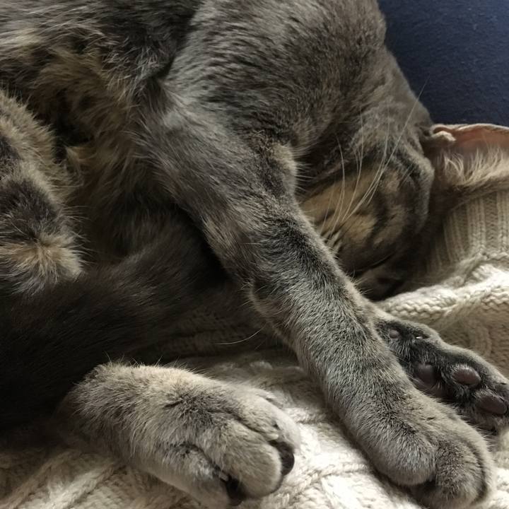 Bba7b5eb 055a 48d4 be34 2cda11bf47e1