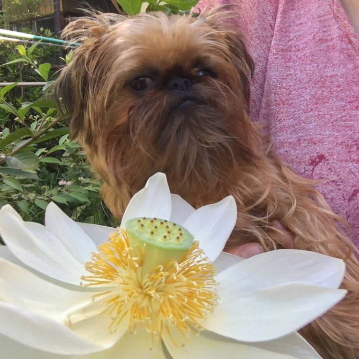 Bba7c1b3 d280 48fc b8a2 77b9c1f15ddc