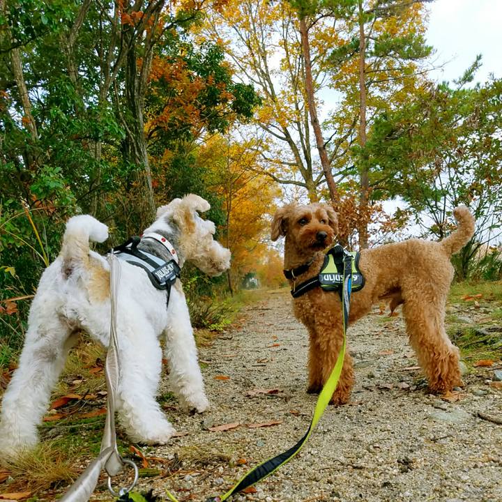 Bba7d824 76de 4b78 afa3 4e3d95ab5197