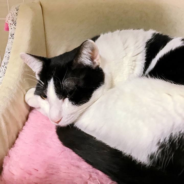 Bba8b87c 10a1 423a 96a9 3e41a4c504f5