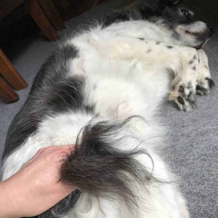 Bba9b65e e4c2 4e49 b8c3 295d9e765cc7