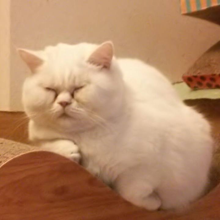 Bbaa0999 abdb 4ef7 9da3 393c7ed03bbb