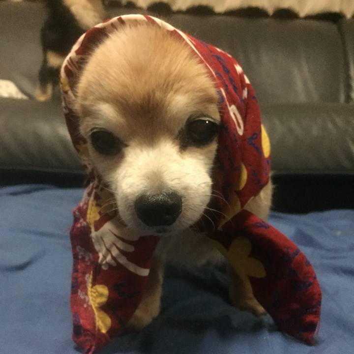 Bbaa7ec4 99d5 477d 8a47 570a4fcbc8b6