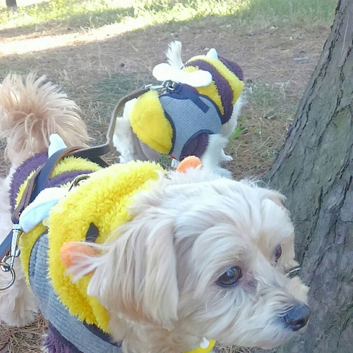 Bbaa82ff 7d10 4b6e b406 7024aeeee754