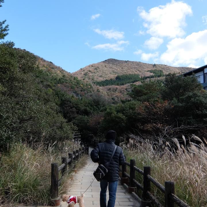 Bbaab9fe 02d1 403a 904f 42c4554e37b4