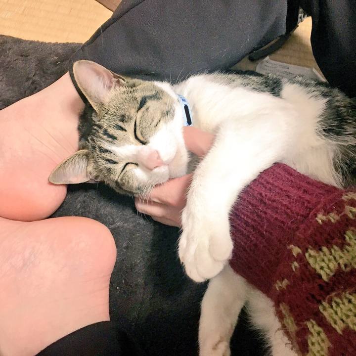 Bbab32f3 3b8b 4165 9b3c ea6d36ce58b4