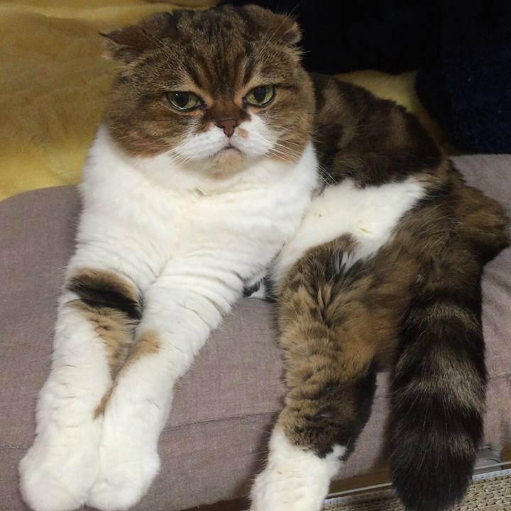 Bbab8b1e 0e38 498e bac6 f78b182d2452