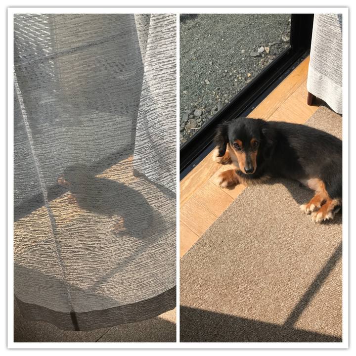 Bbac45a4 80aa 40b5 8dcb 8fcf21233346