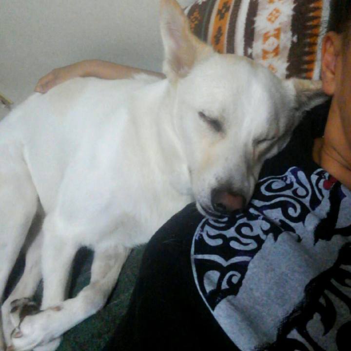 Bbac9eef 2a33 4f4b ae5b cffa1cf93e40