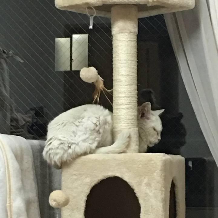 Bbacb05e 698e 4b84 99d0 06f9203716bd